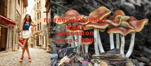 прущий лед Алексин
