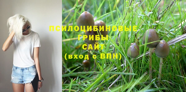 соль курить ск Алексеевка