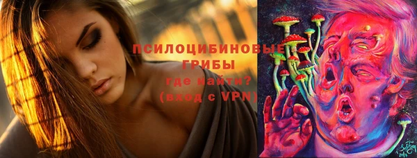 прущий лед Алексин