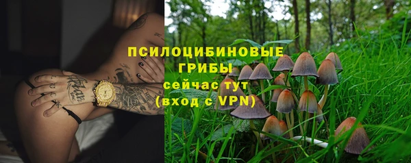 ECSTASY Алзамай