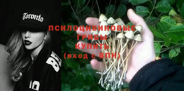 прущая мука Протвино