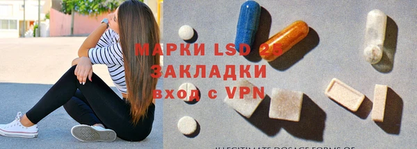 ECSTASY Алзамай