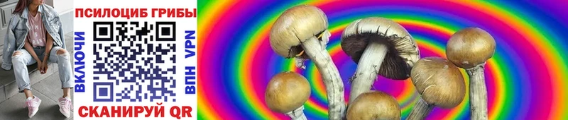 Галлюциногенные грибы MAGIC MUSHROOMS  ссылка на мегу ONION  Шатура 