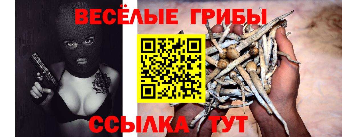 Псилоцибиновые грибы Cubensis Шатура